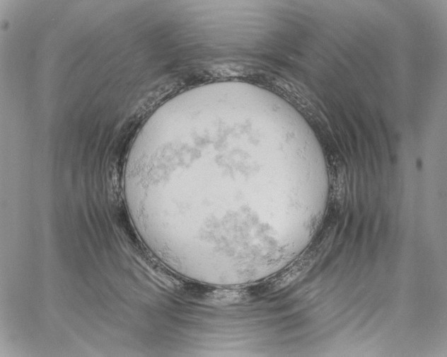 X0000061740418200512302216