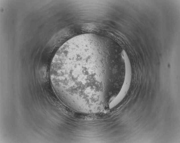 X0000061740420200512302216