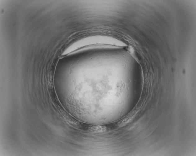 X0000061740421200512302216