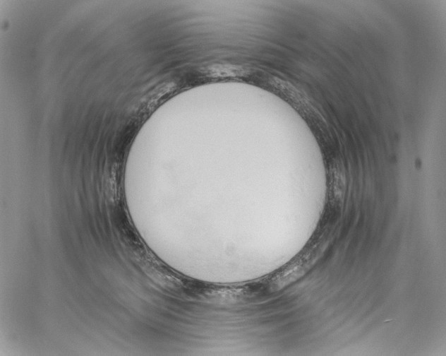 X0000061740422200512302216