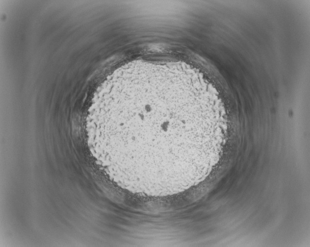 X0000061740423200512302216