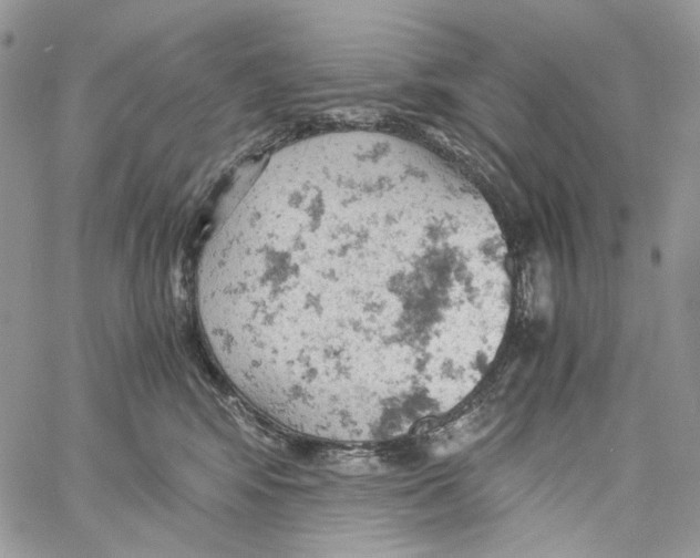 X0000061740424200512302216