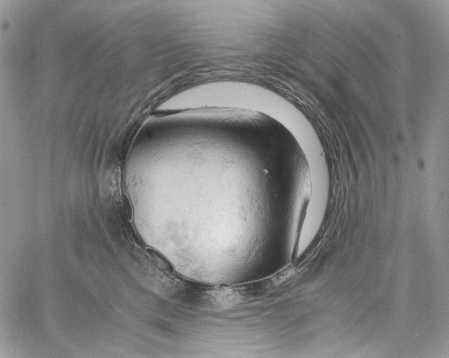 X0000061740425200512302216