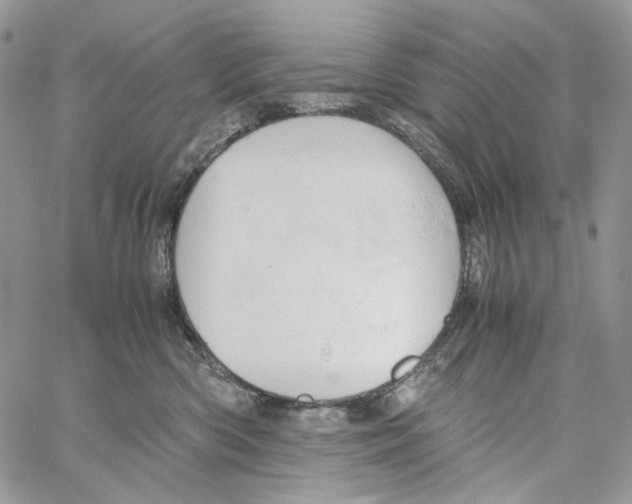 X0000061740426200512302216