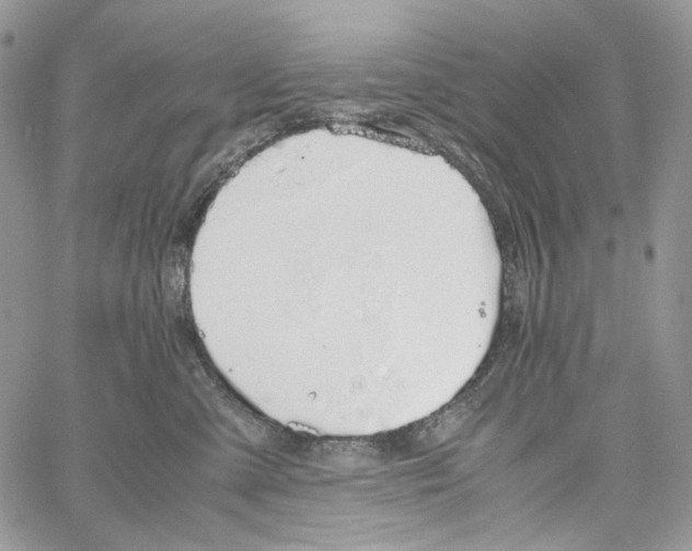 X0000061740427200512302216