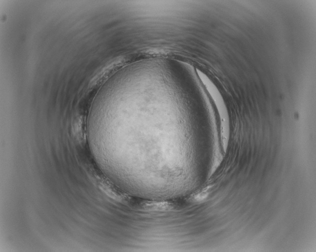 X0000061740428200512302216