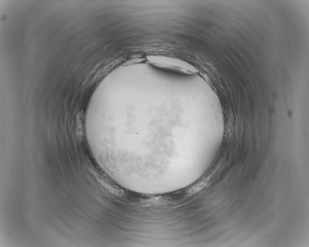 X0000061740430200512302216