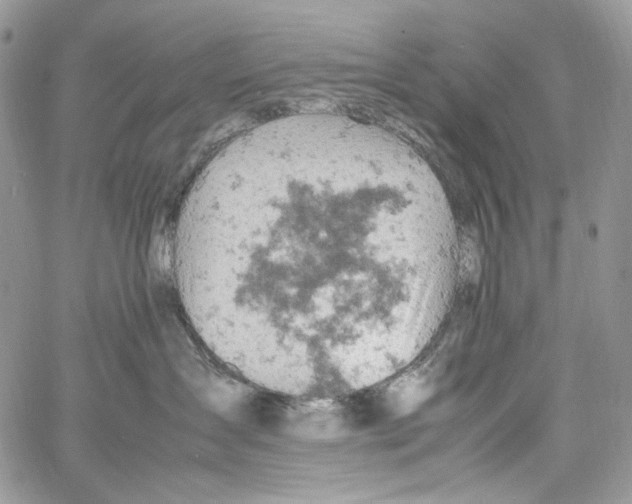 X0000061740431200512302216