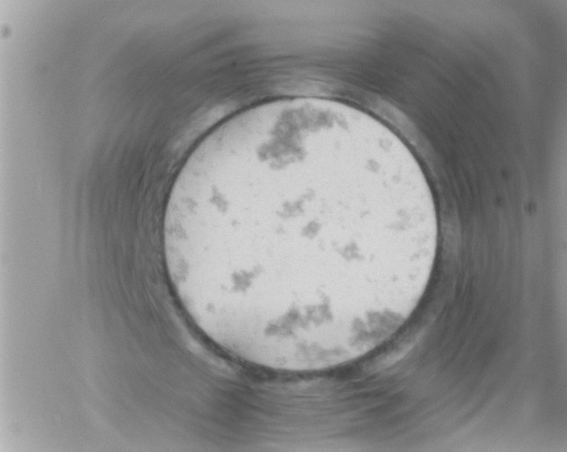 X0000061740433200512302215