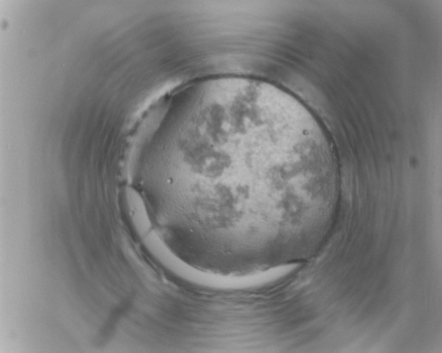 X0000061740434200512302215