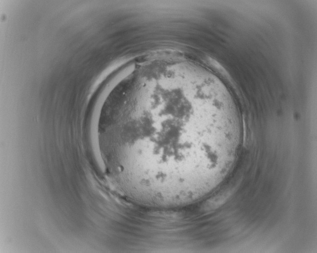 X0000061740435200512302215