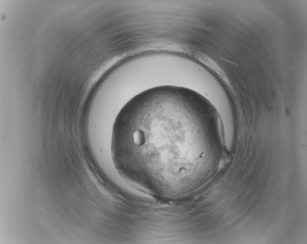 X0000061740436200512302215