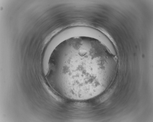 X0000061740437200512302215