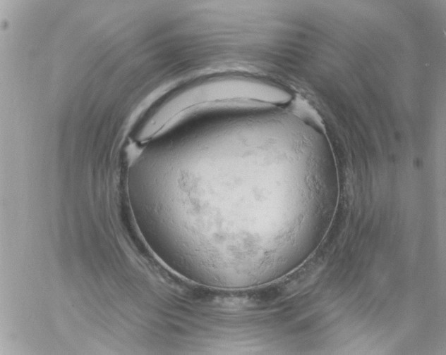 X0000061740440200512302216