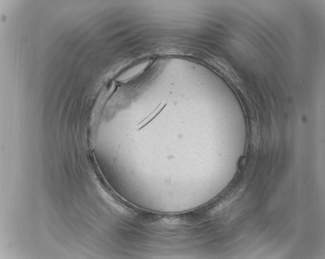 X0000061740441200512302216