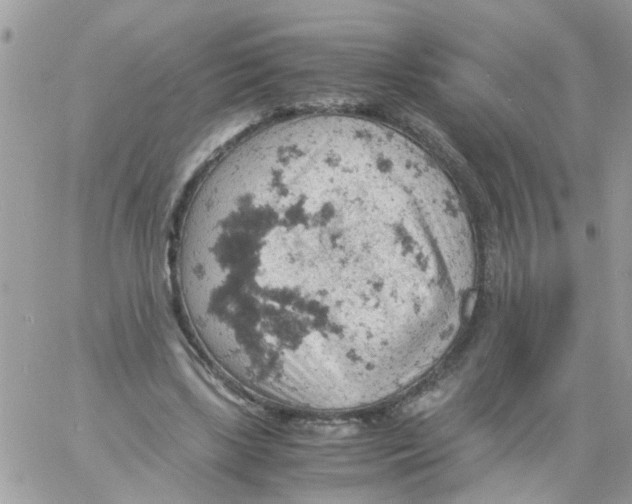 X0000061740443200512302216