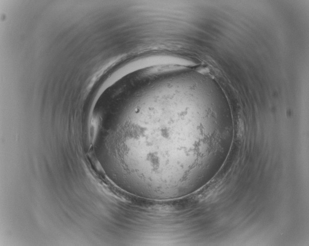 X0000061740444200512302216