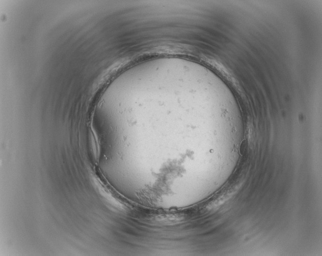 X0000061740445200512302216