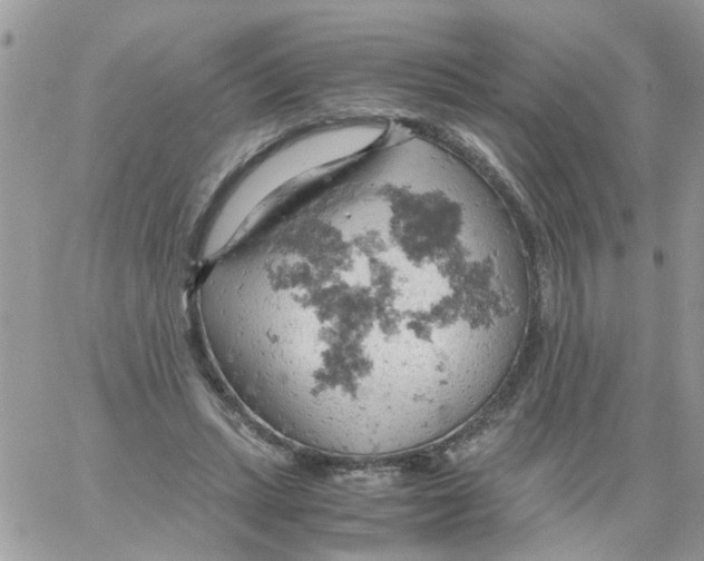 X0000061740447200512302216