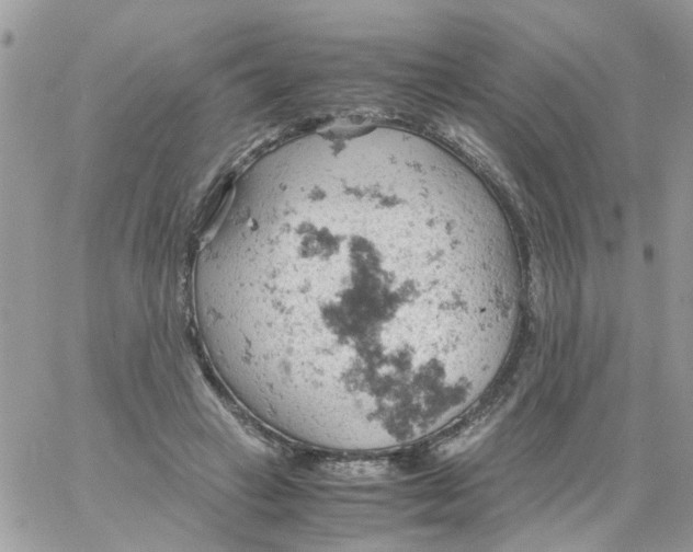 X0000061740449200512302216