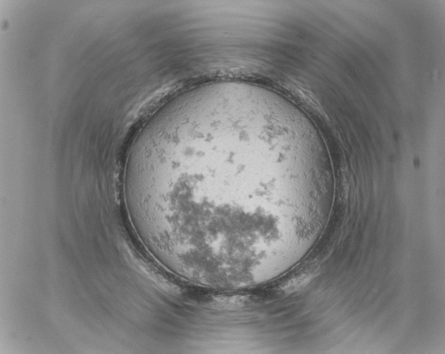 X0000061740450200512302216