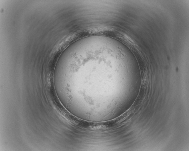 X0000061740452200512302216