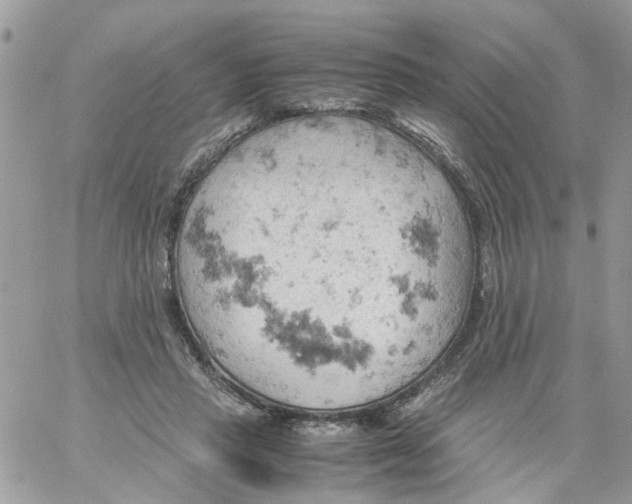 X0000061740453200512302216