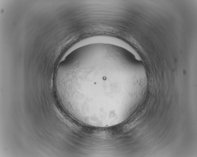 X0000061740454200512302216