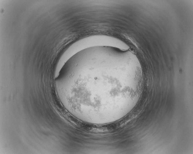 X0000061740455200512302216