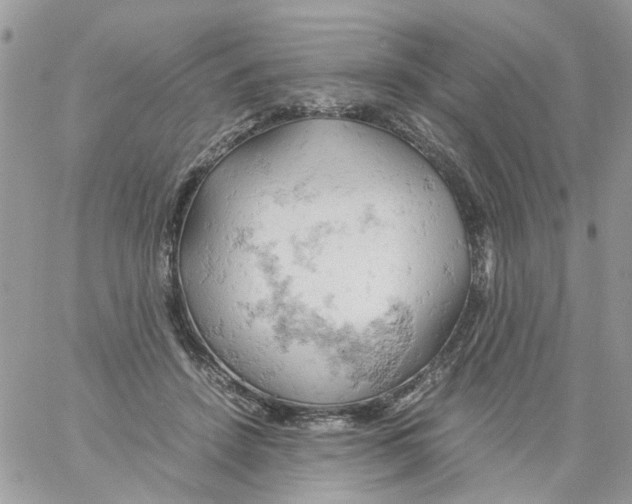 X0000061740456200512302216