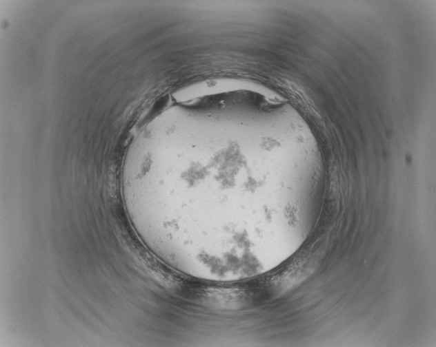 X0000061740457200512302216