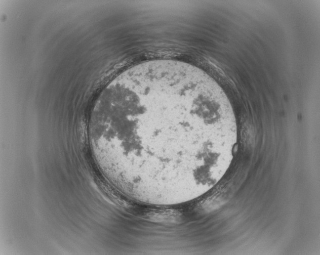 X0000061740459200512302216