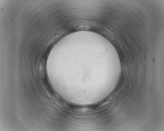 X0000061740460200512302216