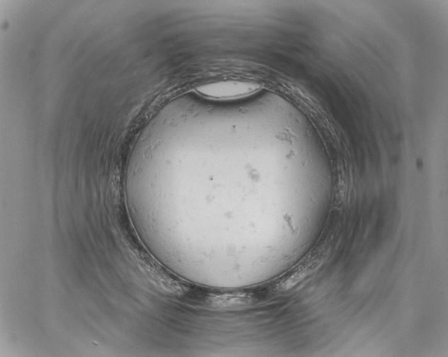 X0000061740461200512302216