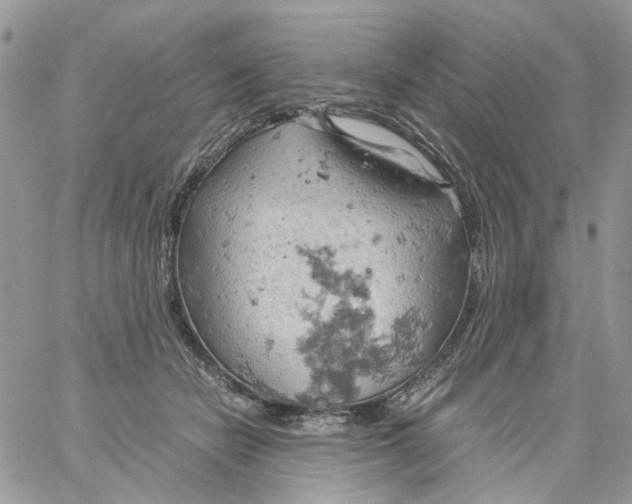 X0000061740462200512302216