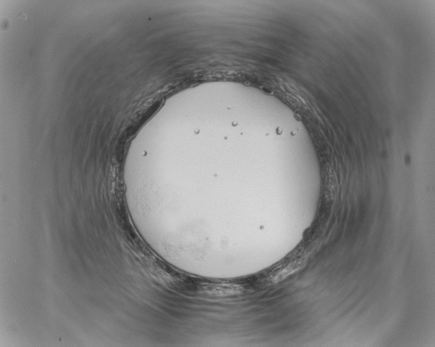 X0000061740463200512302216