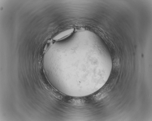 X0000061740464200512302216