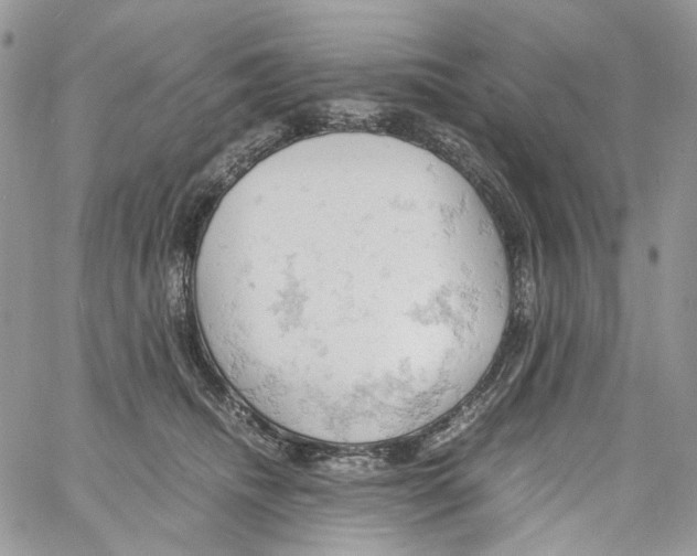 X0000061740468200512302216