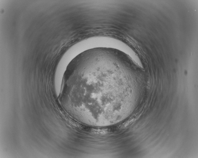 X0000061740469200512302216