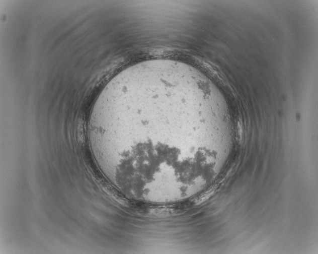 X0000061740470200512302216