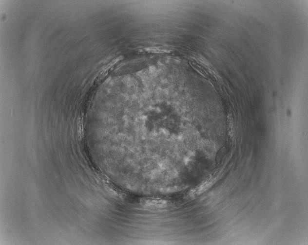 X0000061740471200512302216