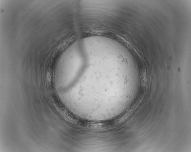 X0000061740472200512302216