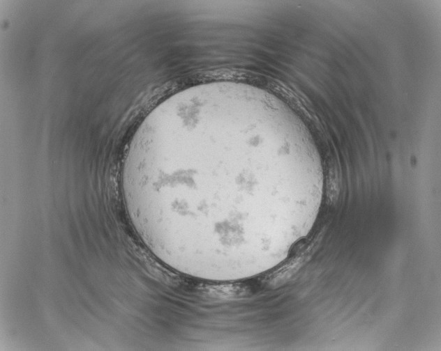 X0000061740473200512302216