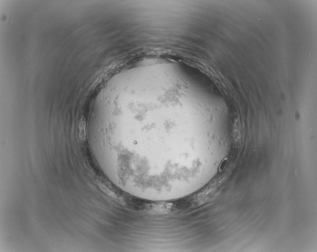 X0000061740474200512302216