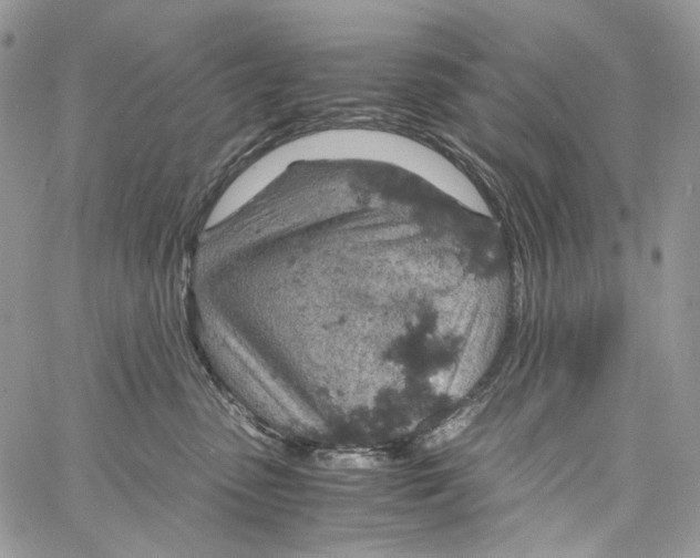 X0000061740475200512302216