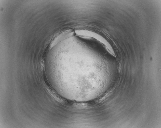 X0000061740476200512302216