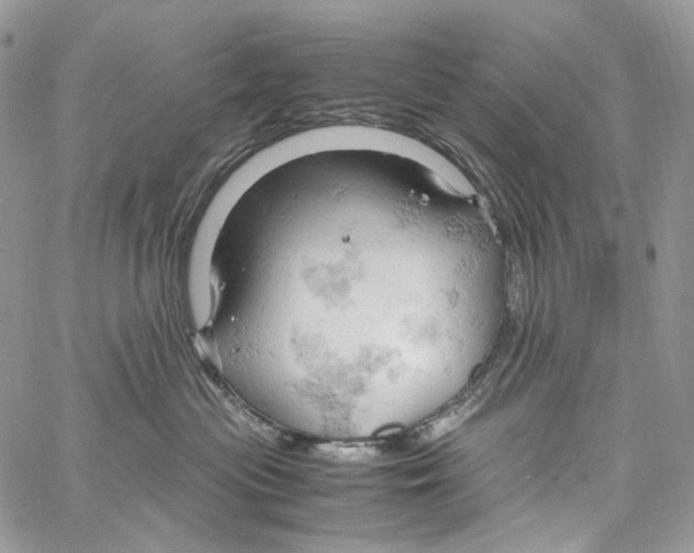 X0000061740477200512302216