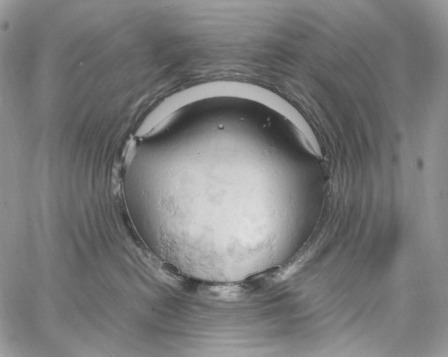 X0000061740478200512302216