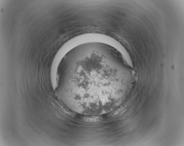 X0000061740479200512302216