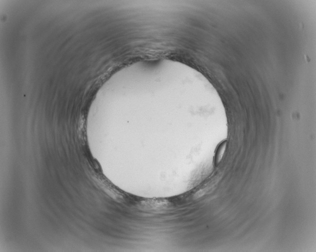 X0000061740480200512302216